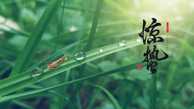 【中醫(yī)護(hù)理門診】驚蟄，養(yǎng)生保健正當(dāng)時(shí)(圖1)