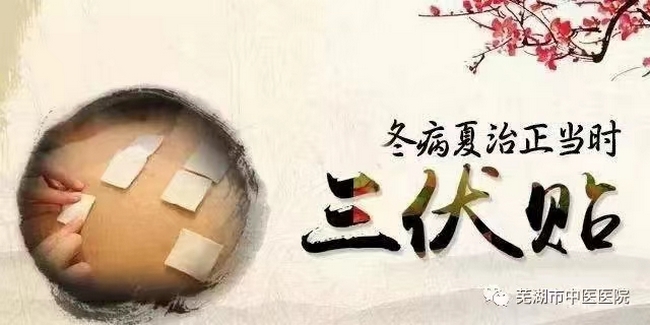 蕪湖市中醫(yī)醫(yī)院三伏貼來啦！冬病夏治的法寶(圖1)