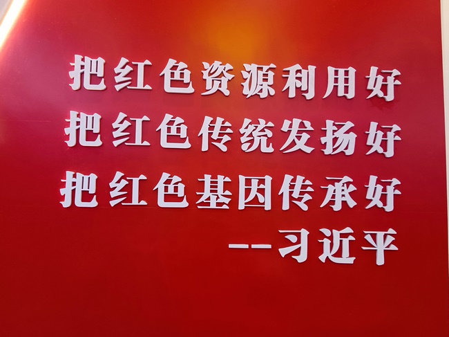 傳承紅色基因  弘揚“渡江第一船”精神——蕪湖市中醫(yī)醫(yī)院外科一支部開展黨建活動(圖3)
