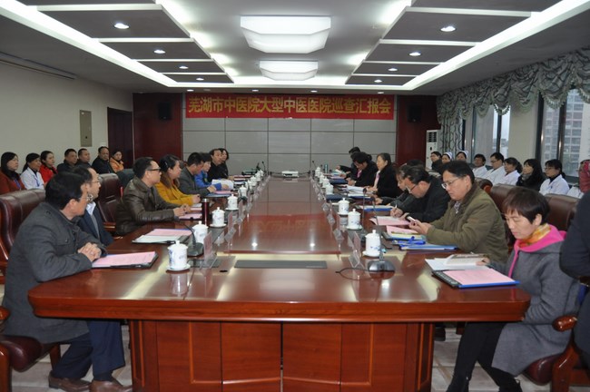 國家中醫(yī)藥管理局大型中醫(yī)醫(yī)院巡查組專家來院巡查指導(dǎo)(圖4)