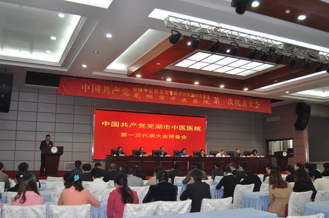 我院第一次黨員代表大會(huì)預(yù)備會(huì)召開(圖1)