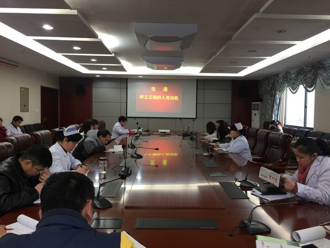 行政片黨總支召開(kāi)“兩學(xué)一做”學(xué)習(xí)教育專(zhuān)題研討會(huì)(圖1)