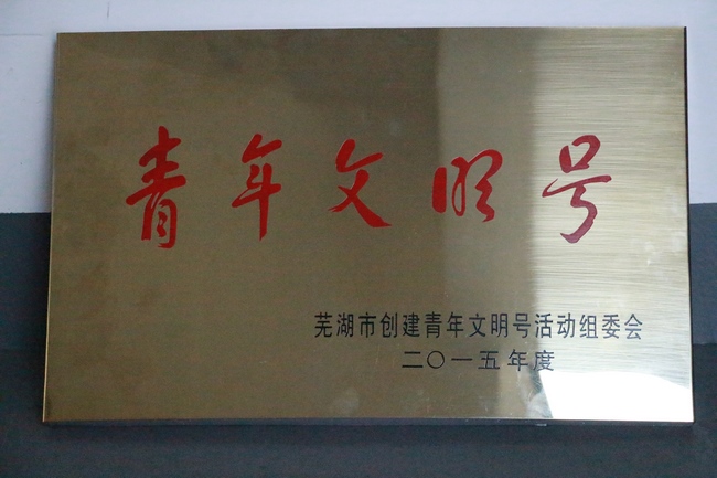 我院新院區(qū)腫瘤科、ICU被新授予市級“青年文明號”(圖1)