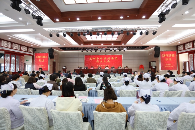 乘十九大春風 譜中醫(yī)藥發(fā)展新曲 ——蕪湖市中醫(yī)藥集團成立大會順利舉行(圖1)