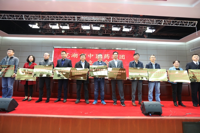 乘十九大春風 譜中醫(yī)藥發(fā)展新曲 ——蕪湖市中醫(yī)藥集團成立大會順利舉行(圖8)