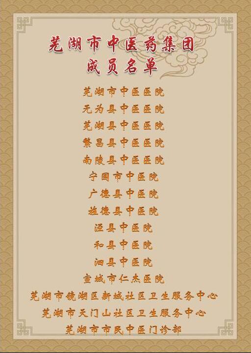 乘十九大春風 譜中醫(yī)藥發(fā)展新曲 ——蕪湖市中醫(yī)藥集團成立大會順利舉行(圖4)