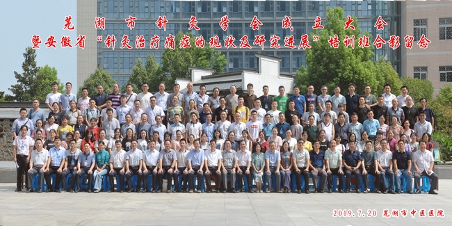 守正創(chuàng)新 弘揚(yáng)國粹——蕪湖市針灸學(xué)會(huì)正式成立(圖12)