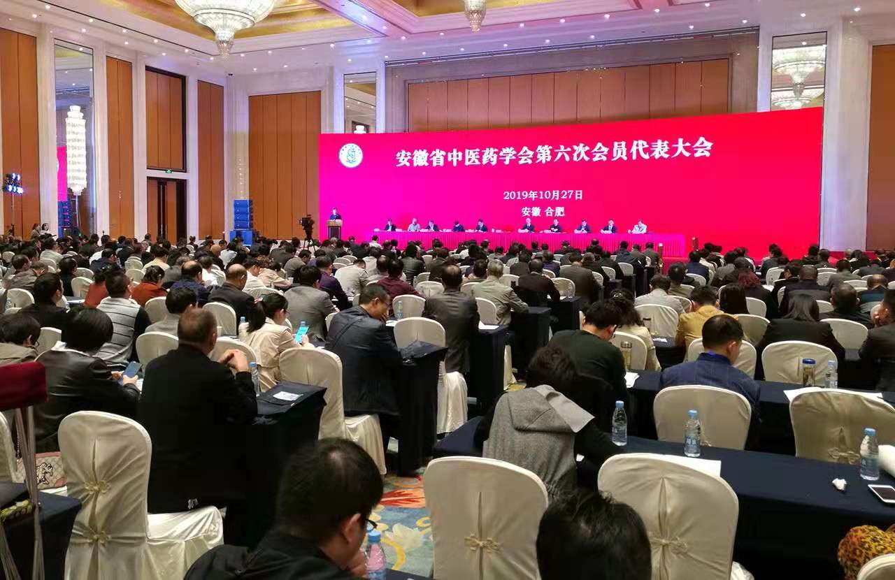 傳承精華 守正創(chuàng)新——安徽省中醫(yī)藥學(xué)會(huì)2019年年會(huì)暨黃山論壇在合肥召開(圖2)