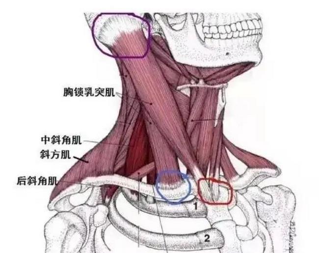 圖片4 (復制).jpg