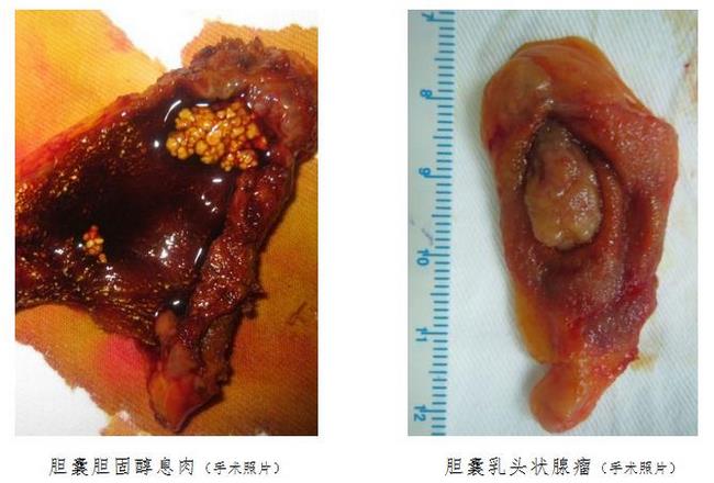 圖片2 (復制).jpg
