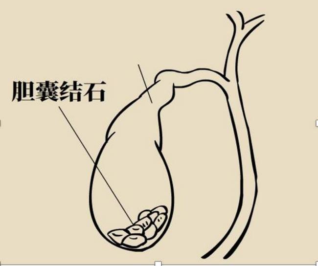 圖片2 (復制).jpg
