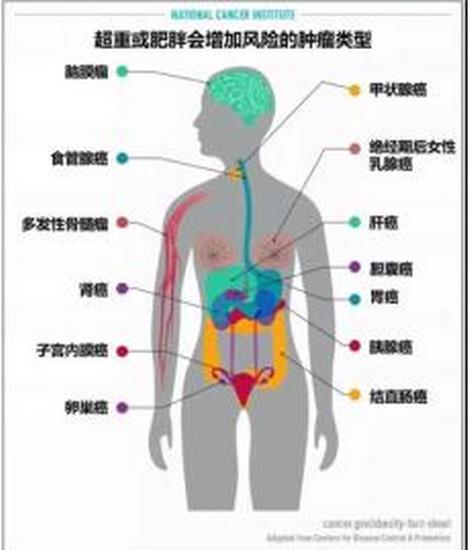 圖片3 (復制).jpg