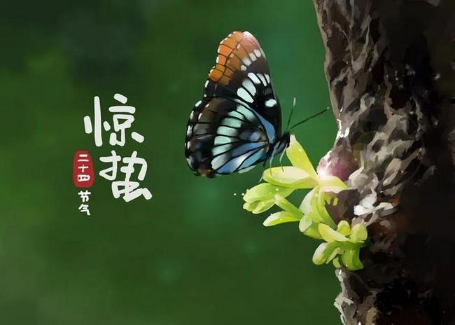 圖片1 (復制).jpg