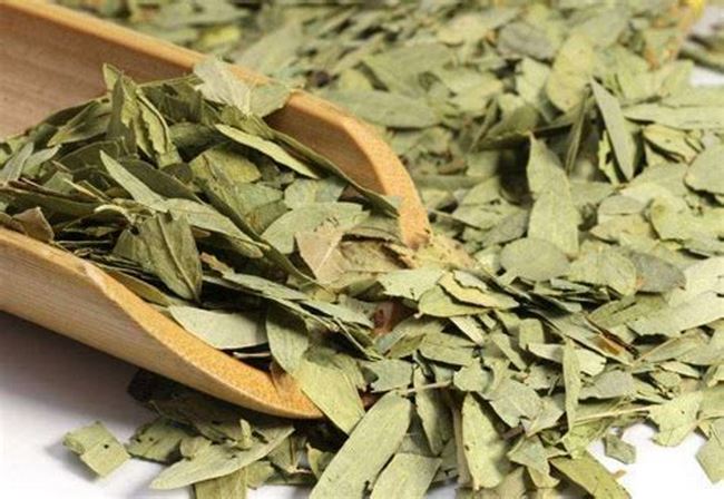 圖片1 (復制).jpg