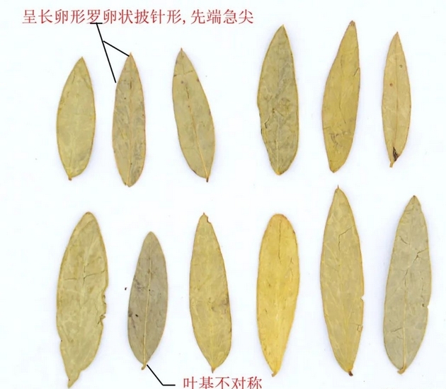 圖片2 (復制).jpg