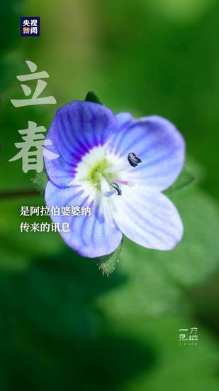 圖片9 (復(fù)制).jpg
