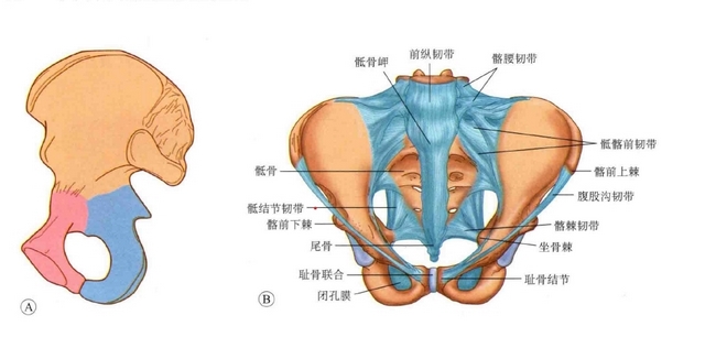 圖片1 (復制).jpg