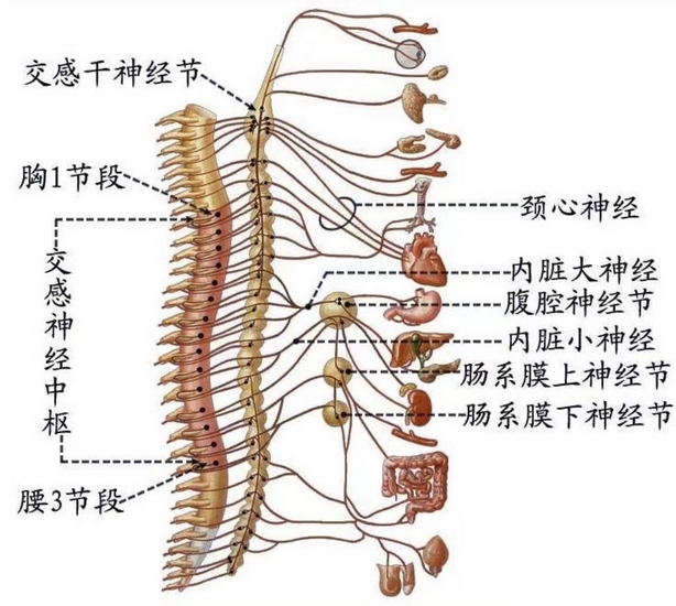 圖片1 (復制).jpg