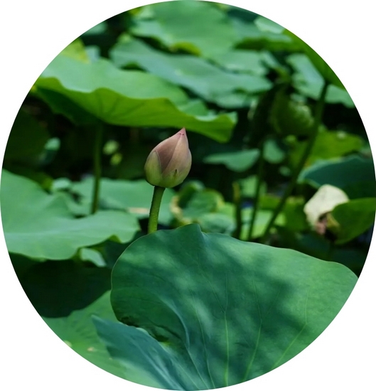 圖片1 (復制).jpg
