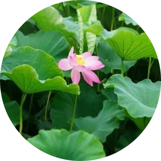 圖片6 (復制).jpg