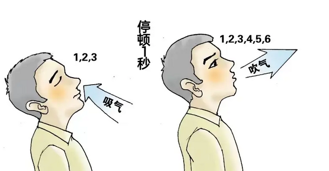 6 (Copy).png
