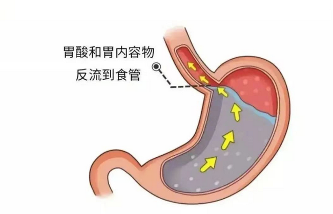 圖片5 (Copy).png