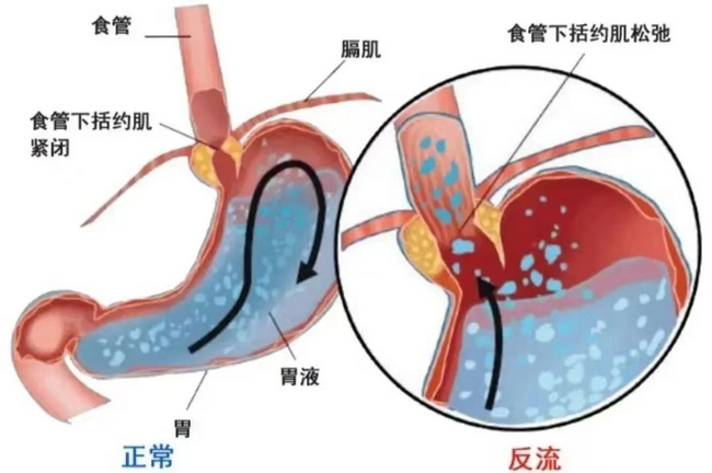 圖片4 (Copy).png