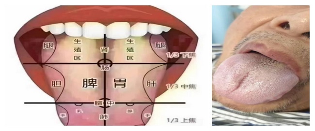 護(hù)理拼 (Copy).jpg