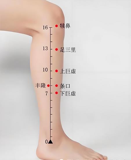 豐隆穴 (Copy).jpg