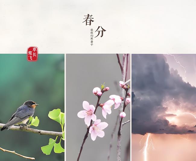 春分三侯 (Copy).jpg