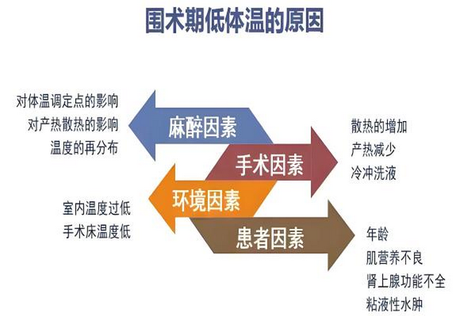 7 (Copy).png