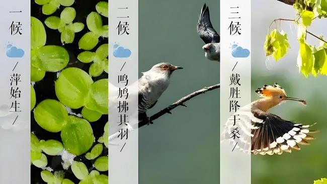 三侯 (Copy).jpg