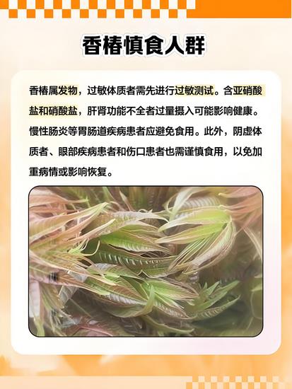 香椿 (Copy).jpg